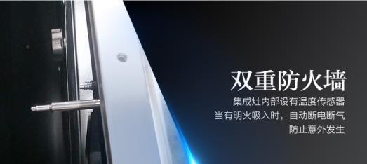 佳歌集成灶央視紀錄片——家加愛
