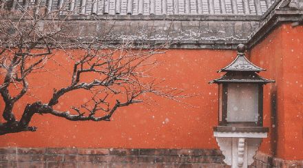 盡享冬令進(jìn)補(bǔ)佳品，怎能少的了佳歌集成灶