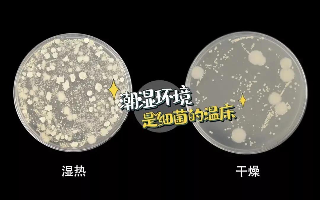 疫情反撲，居家防疫廚房重中之重！