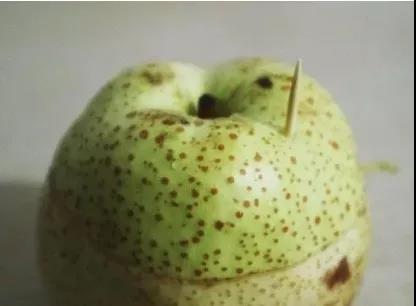 一雷驚蟄醒，今天要用什么來叫醒你的胃？