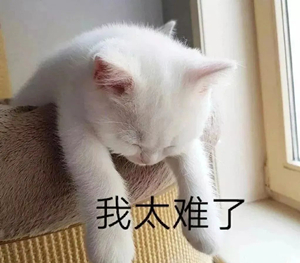 時間很急，美味告急！幸好有佳歌A6DZK蒸烤獨(dú)立集成灶！
